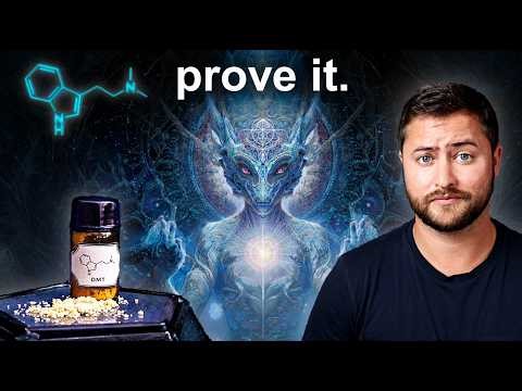 Are DMT Entities REAL? Here's How to Actually Prove It