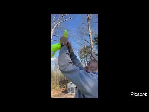 How to Assemble Athletic Works 7 x 7 Hit & Pitch Net