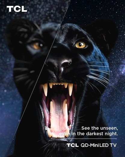 Experience the TCL effect and see every detail, even in the darkest of nights 🔎 TCL QD-Mini LED TVs feature brightness control, capturing contours and eye light with precision. Pupils pierce, fur becomes finer and every moment gets more exciting with TCL 🤩 #TCL #TCLTVs #InspireGreatness #QDMiniLED #MiniLED #HomeCinema #Precisedimming | TCL Electronics