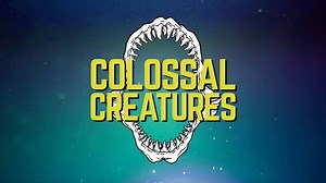 1.7M views · 12K shares | How do the creatures of today stack up to extinct animals? Here are some colossal extinct creatures compared to their closest living relatives. | IFLScience | Facebook