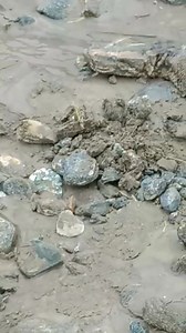 7.5K reactions · 629 shares | Khola Ma Python Vetiyo... | Premika Sharma | Facebook