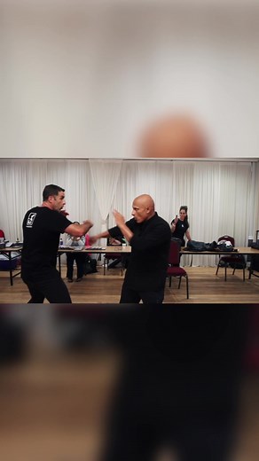 Jeet Kune Do Trapping With Sifu Singh #budobrothers #martialarts #jeetkunedo #jkd #wingchun #kungfu