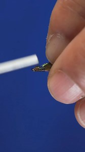 17K views · 226 reactions | Peccary Emerger Fly Pattern - materials listed in the comments. #flyfishing #flytying #pesca #pescaconmosca #fishing | The Tao of Flies | Facebook