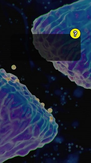 Science Facts Quiz: Test Your Knowledge