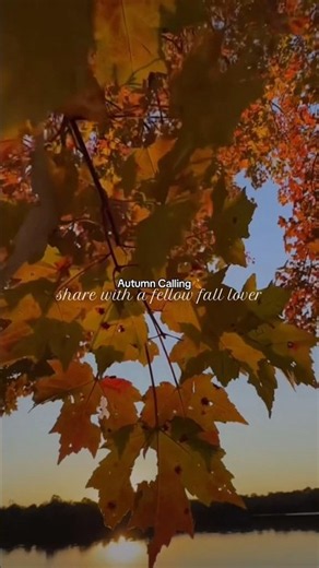 watch my fall playlist to enjoy this fall ambiance all day ☺️✨🍂 #fallambience #fallday #cozyfall
