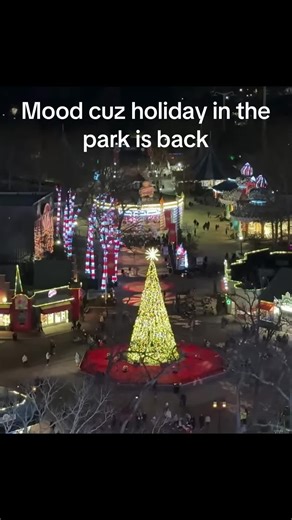 #holidayinthepark #sixflags #fyp #viral #fypシ | Holiday In The Park Six Flags