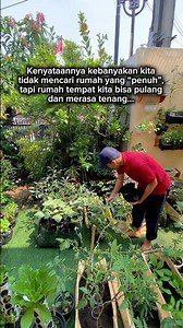 Berkebun Di Halaman Rumah Bikin Tenang #berkebun