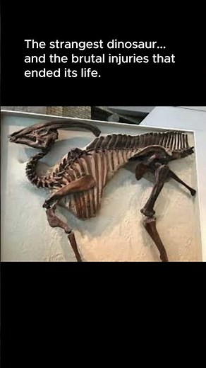 Parasaurolophus 💔 The Strangest Dinosaur’s Tragic Death #prehistoric #dinosaur #ancienthistory #sad