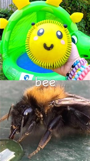 Bug Insect Names for Kids | Toy Learning Fun at the Dino Pool: Bee Butterfly Stag Beetle Snail