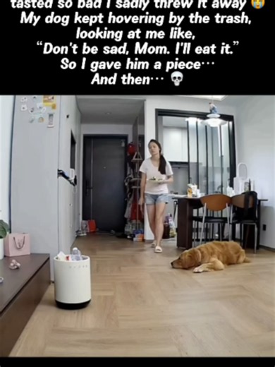 see till the end...😂😭#goldenretriever #dogsoftiktok #petsoftiktok #dogtok #pets #fyp