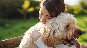 Les animaux, des 'êtres sensibles' dans la Constitution belge : qu'est-ce que ça change vraiment ? - RTBF Actus