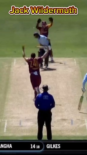🏏Jack Wildermuth picks up a wicket🔥 #cricket #cricketfans #cricketnews #cricketaustralia #testcricket #T20 #PSL #ICC #TheAshes #ipl #bbl #SheffieldShield | Aus Domestic Cricket