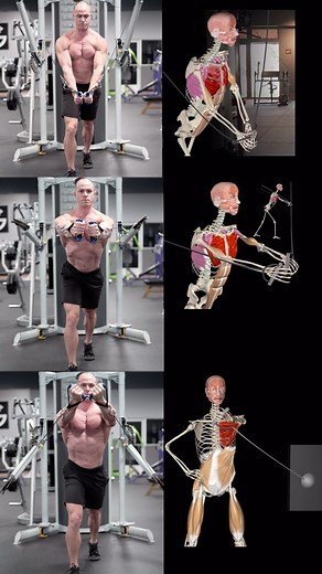 653K views · 6.2K reactions | Target different parts of your chest...