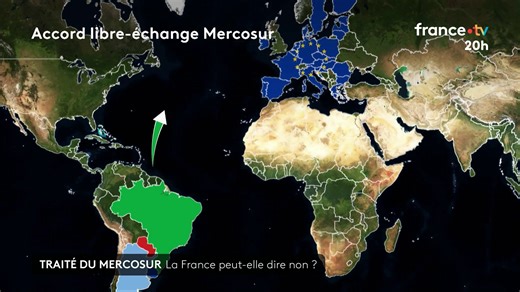 Bras de fer : la France et l'Italie s'opposent au Mercosur, l'accord de libre-échange avec plusieurs pays d'Amérique du Sud, mais ont-ils les moyens d'empêcher Ursula von der Leyen de le signer ? #JT20h | Le 20h – France Télévisions