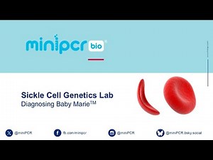 Sickle Cell Genetics Webinar