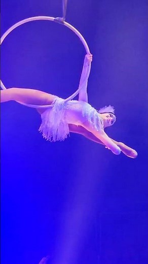 Amazing Aerial Performance at Circus Vargas! 🎪✨