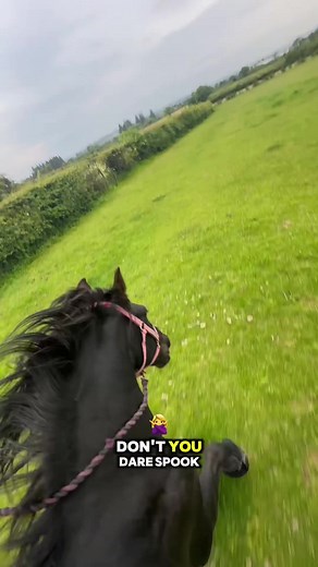 so much for them calming down with age 🫣