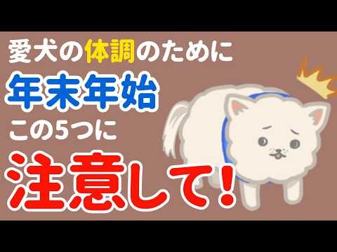 【知らないと後悔】年末年始に「犬が体調を崩す」5つの注意点