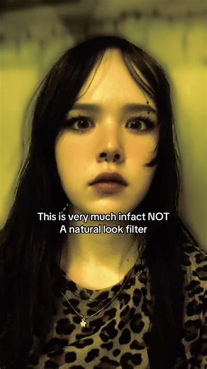 Exploring Artificial Filters in Photography