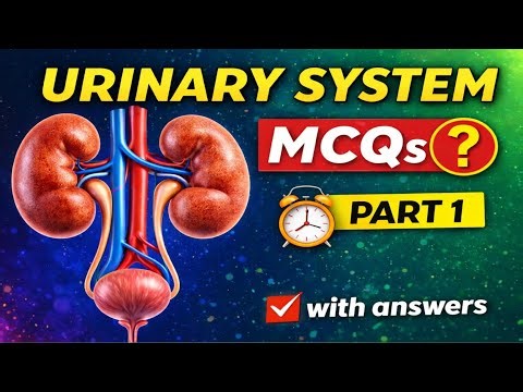 Urinary System MCQs | MDCAT Preparation | Part 1 (With Answers)