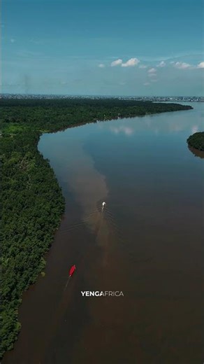 Douala Mangrove tour Wuri river