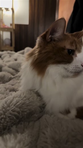 Understanding the Meaning Behind 'I Know' Responses