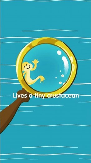 Aqua Dragons Song with Lyrics PT1