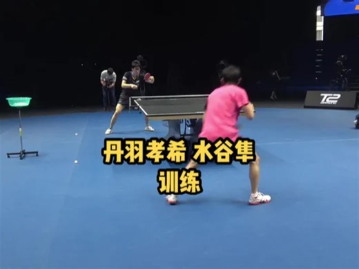 日本选手丹羽孝希 水谷隼训练，不难看出基本功扎实程度以及质量！