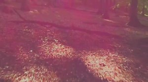 FALCON!!!! | Panda Funk