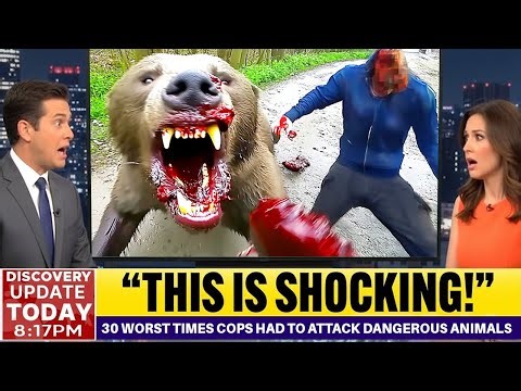 30 Worst Times Cops Had To Attack Dangerous Animals