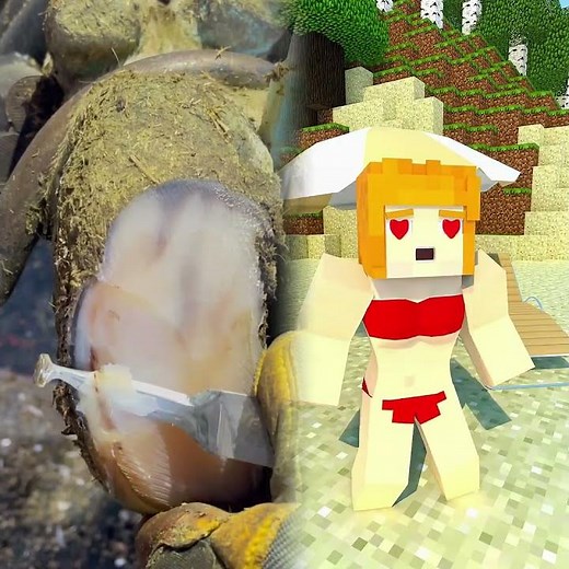 "Steve vs Poop - Minecraft Animation #minecraftshorts"