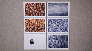 A Beginner's Guide to Macro Photography