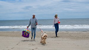 Coopers Beach in Southampton tops list of best beaches nationwide