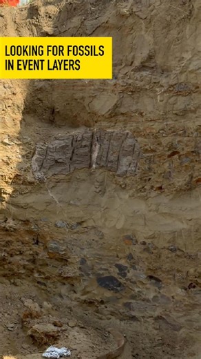 5.4K views · 67 reactions | A massive flood once tore through this riverbank—collapsing clay walls, mixing layers of earth, and burying fossils in an instant.  Learn how powerful forces of nature preserved ancient bones and artifacts beneath our feet. | Chasing History | Facebook