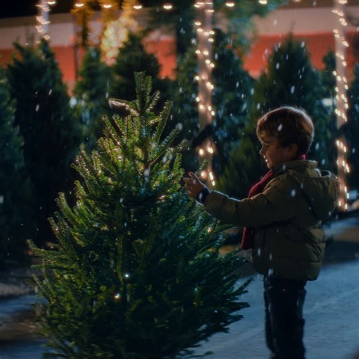 74K views · 195 reactions | The right tree finds you ✨ Visit your local Home Depot to find yours today. | The Home Depot | Facebook