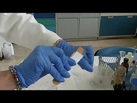 Graham o Cinta Adhesiva Transparente (CAT)