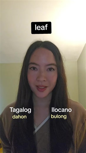 Learn Ilocano: Common Phrases and Vocabulary