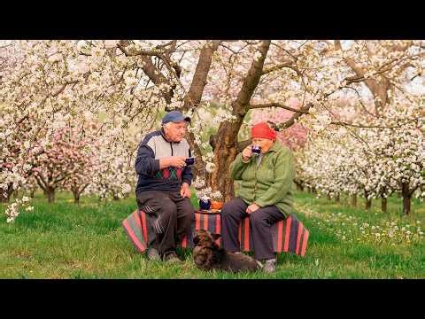 The simple life of an elderly couple in a Ukrainian village