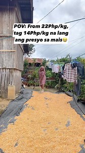 ibubod ko dlang ja sa mga manok! 😭 | Team Karay-a