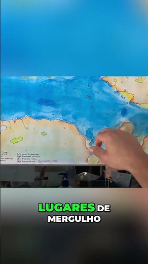 Great Barrier Reef: Diving Tips and Essential Guides