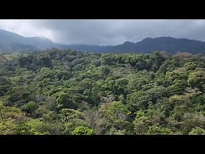 Chucantí, a reserve in the Darién region of Panama with unique biodiversity
