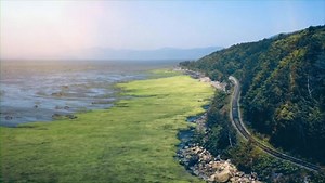 PRIMEUR FACEBOOK: Visionnez la publicité du Train, avant sa diffusion dès la semaine prochaine sur RDI, TV5 et Canal Évasion. On a hâte au 9 septembre! | Le Massif de Charlevoix