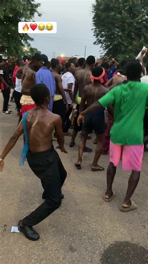 Exploring Newton's Innovative Technology Solutions