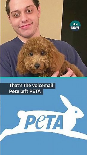 Pete Davidson’s voicemail to PETA #itvnews #peta