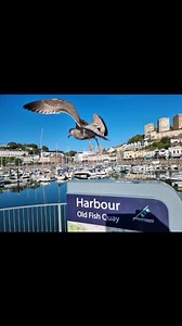 TORQUAY - 4 & 5 DAY HOLIDAYS .. 2025! Click on the link below or download the Jones The Bus Mobile App 📱 https://www.jonesinternational.co.uk/breaks?destination=8 Springtime Holiday 5 days - March 17th - £299 Easter Weekend 4 days - April 18th - £249 May Bank Holiday Weekend 4 Days - May 2nd - £249 Summer Holiday 5 days - June 30th - £399 Summer Weekend 4 days - July 4th - £299 Summer Holiday 5 days - July 2st - £399 Summer Holiday 5 days - August 11th - £399 August Bank Holiday Weekend 4 days 