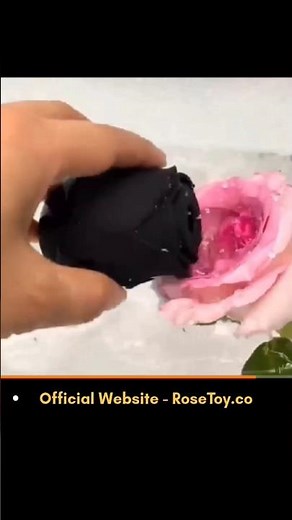 Tiktok Original Rose Toy Sucking Vibrator