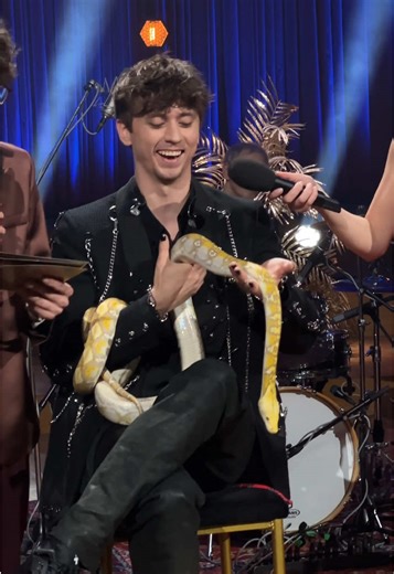 🌟Aastavahetus parimas seltskonnas!!🌟 ✨21.10 Õnne 13 aastavahetuse eri ✨21.40 Laulame neid laule jälle. Eesti Laulu eri ✨22.15 Huumoriklubi esitleb: Jan Uuspõllu röst ✨23.05 Aasta täht - SADU ✨23.25 Telemuna 2025 #eestitelevisioon #etv #eestitiktok