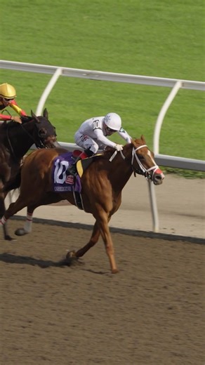 1.3K views | Woodbine Racetrack on Reels | Facebook