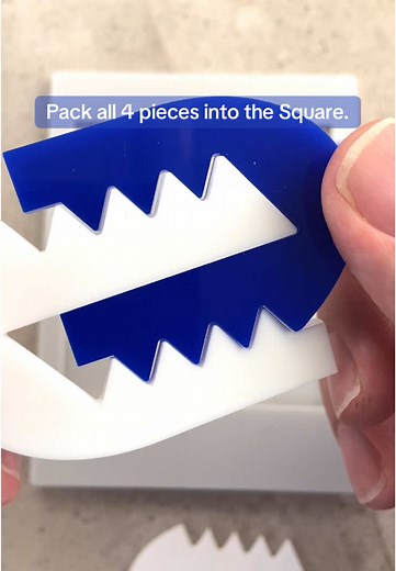 Mastering the Echo Puzzle: Pack All 4 Pieces!