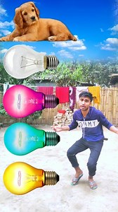 Electric Light to dog,, cat,, rabbit,, goat & elephant - animals names - funny #reels #vfx #viral #instagram | Vfx Roksana